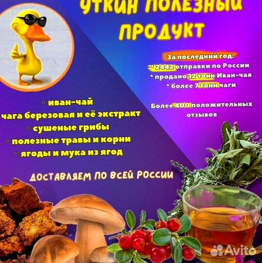Чага гриб 50гр авито
