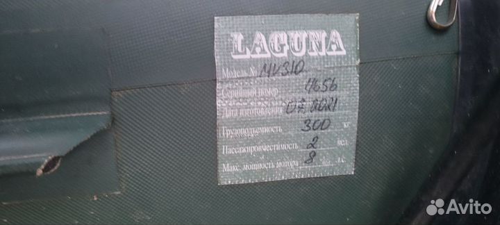 Laguna mv310