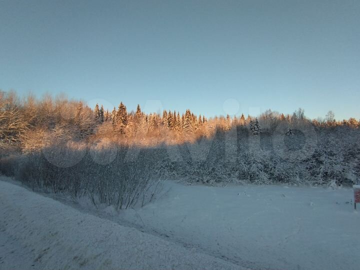 Участок 1,32 га (СНТ, ДНП)