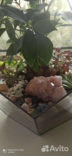 Флорариум бонсай с полудрагоценными камнями