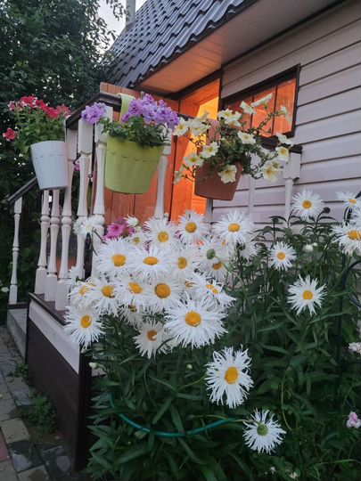 Дом 80 м² на участке 5 сот.