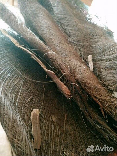 Природный материал для поделок