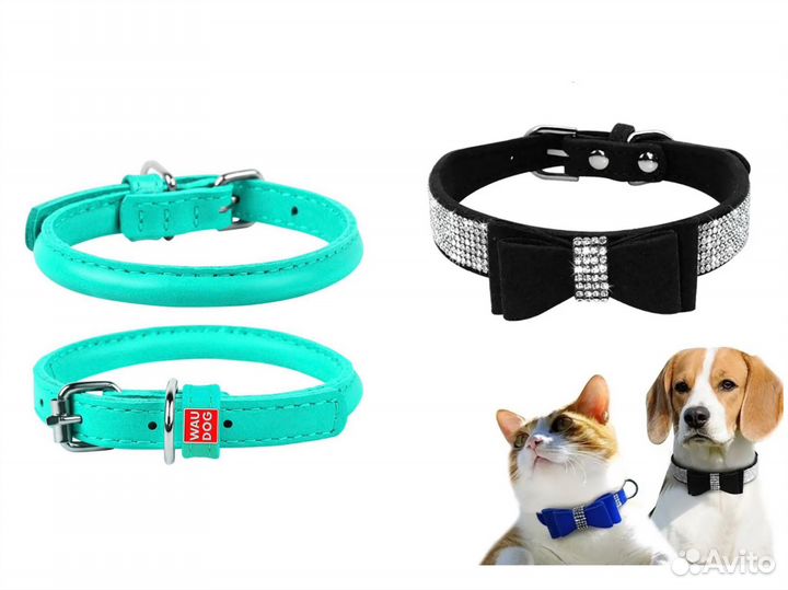 Ошейник для маленькой средней собаки
