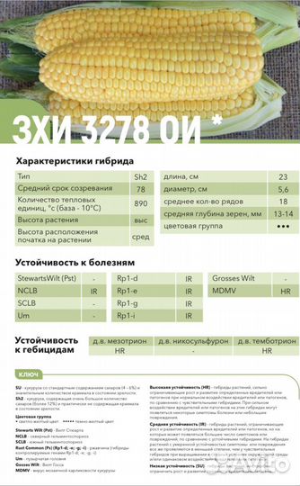 Семена сладкой кукурузы