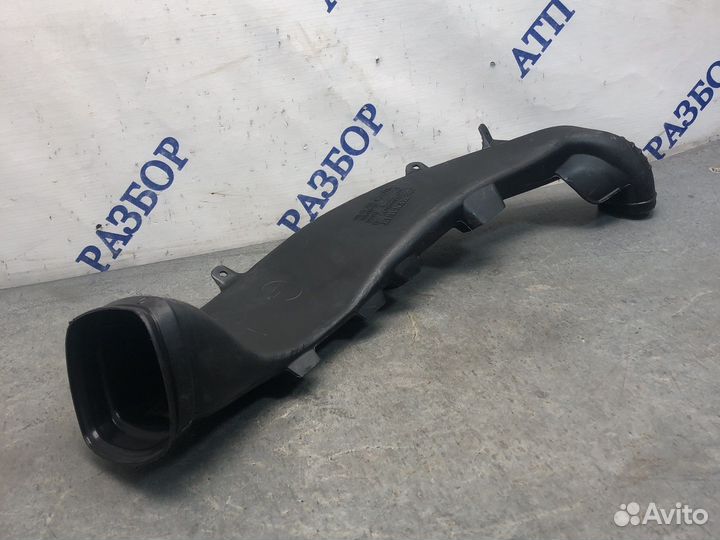 Лев воздуховод ног Меган 2