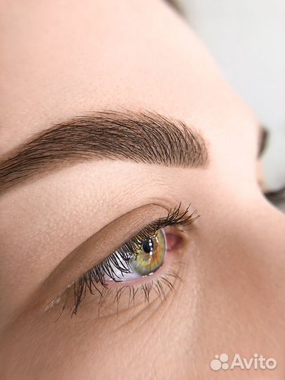 Обучение мастер бровист