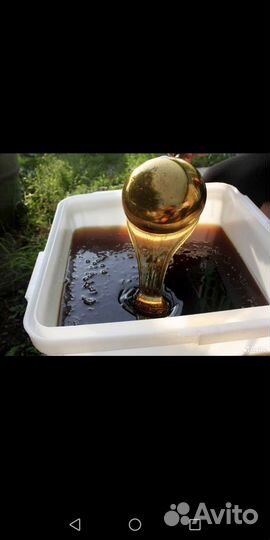 Мед алтайский натуральный