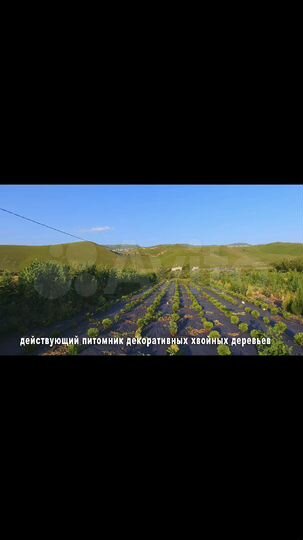 Участок 2,1 га (ИЖС)