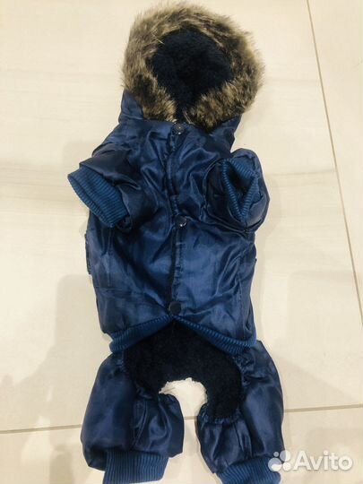 Одежда для маленьких собак мини йорк