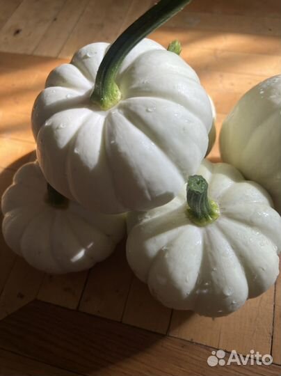 Тыква декоратиная белая