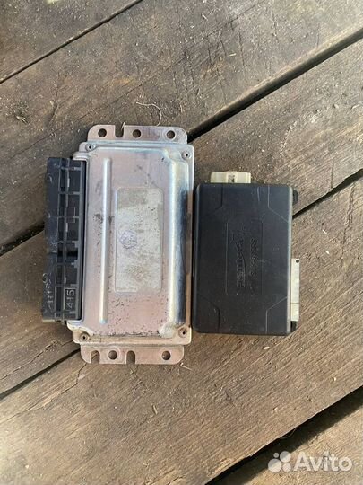 Мозги на 2115