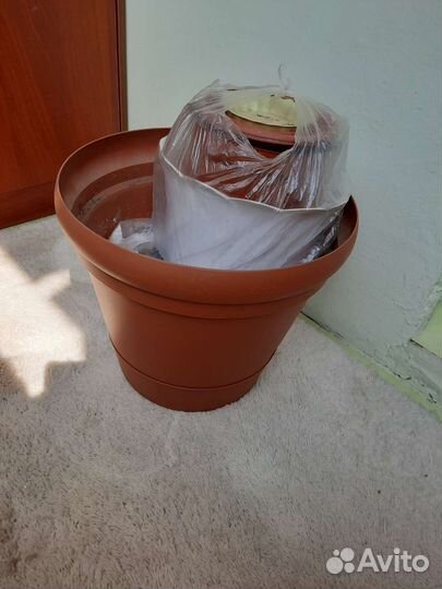 Кашпо горшок для цветов