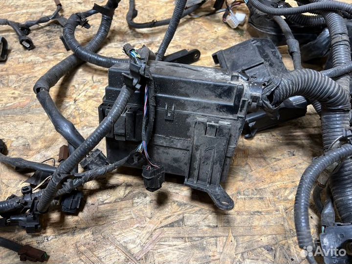 Проводка подкапотная Infiniti Qx70 S51 VQ37VHR