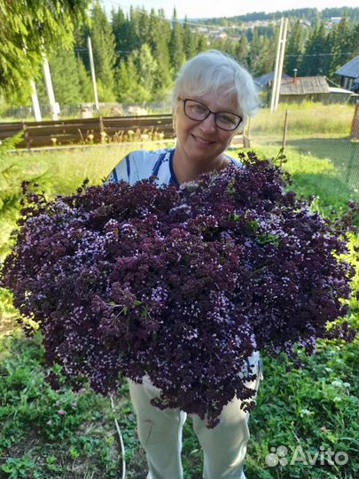 Трава (душица, зверобой)