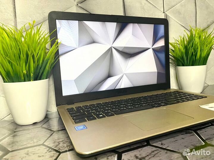 Шустрый Ноутбук asus/N4000/SSD/UHD Graphics