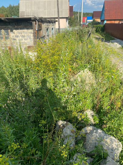 Участок 3,8 сот. (СНТ, ДНП)