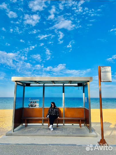 Репетитор корейского (Носитель)