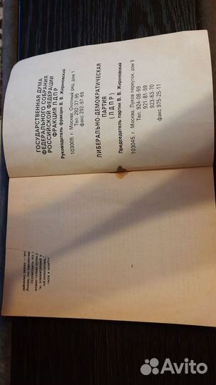 Жириновский В.В. Последний бросок на юг