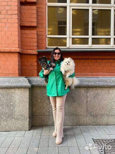 Зоогостиница, домашняя передержка животных