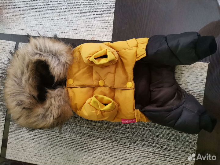 Одежда для собачки чихуахуа