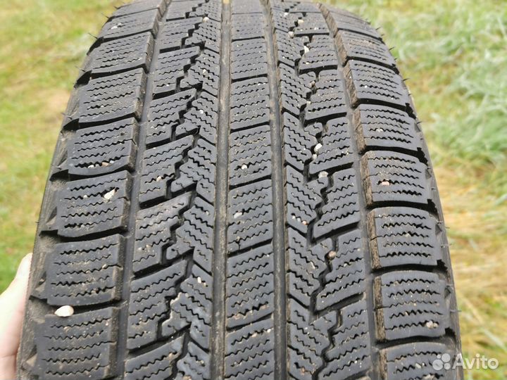 Roadstone Winguard Ice 205/55 R16
