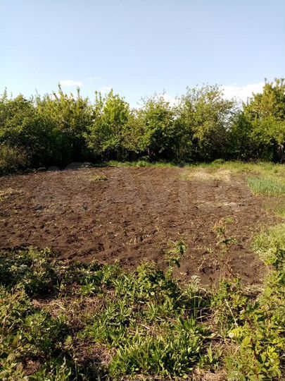 Дача 12 м² на участке 6 сот.