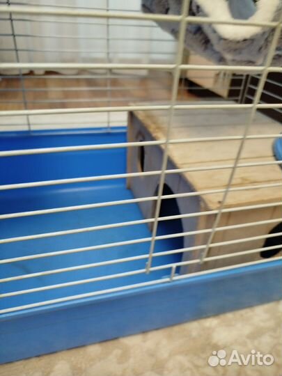 Клетка для крупных грызунов