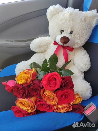 Плюшевый мишка