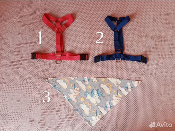 Амуниция для собак