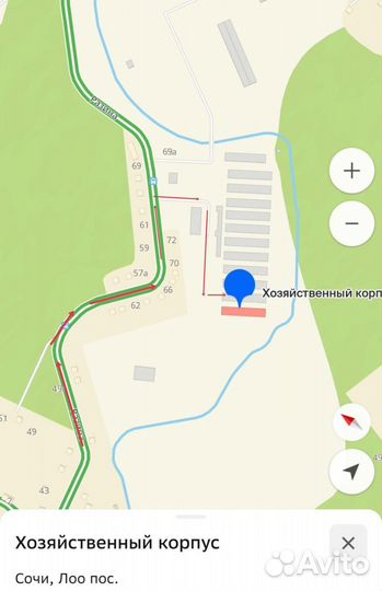 Гортензия крупнолистная