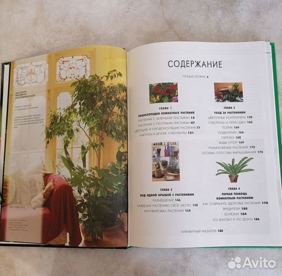 Комнатное цветоводство / комнатные растения