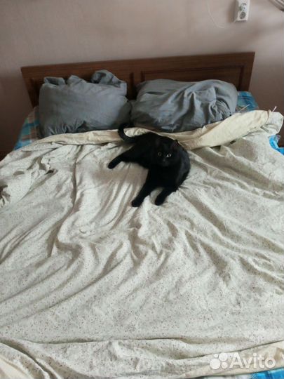 Продам мебель в хорошем состоянии