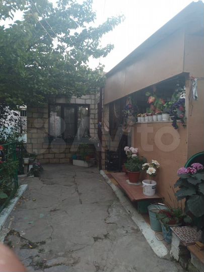 Дом 56,1 м² на участке 3,1 сот.