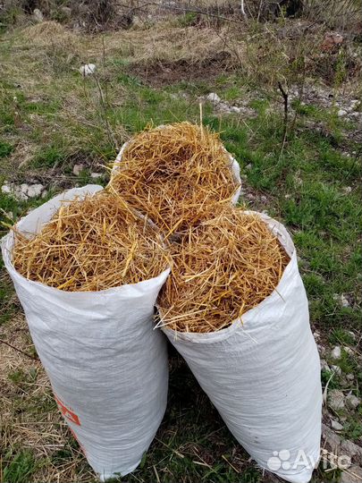 Солома в мешках измельченная (мульча соломы)