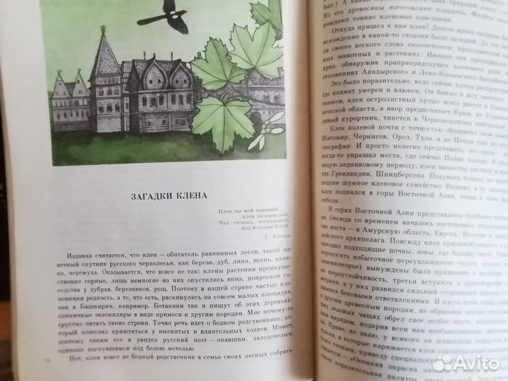 Детские книги О природе