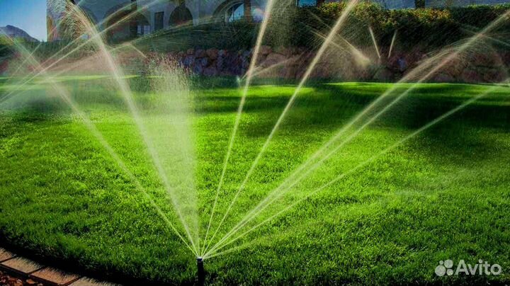 Автополив под ключ