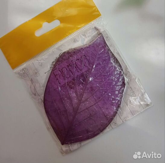 Молды + тейплента