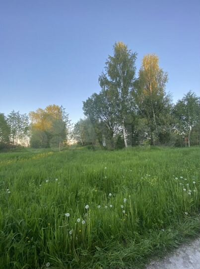 Участок 35 сот. (ИЖС)
