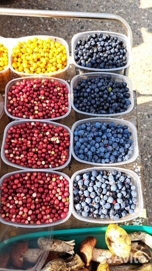 Грибы и ягоды. Возможна доставка