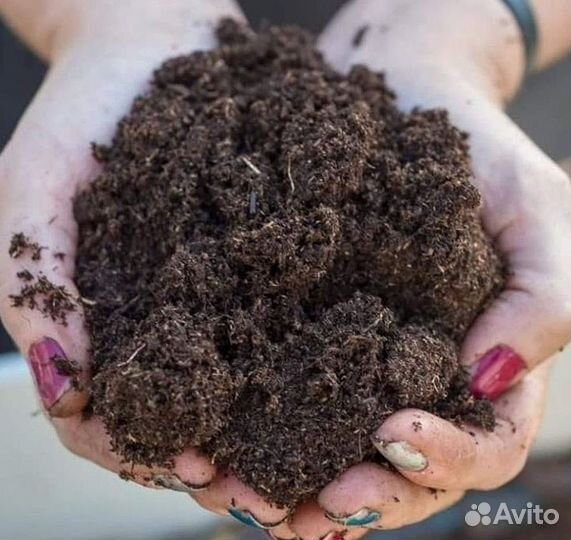 Перегной Навоз Чернозем плодородный Земля Грунт