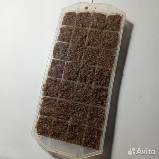 Корм для рыбок