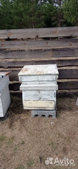 Улей для пчел бу