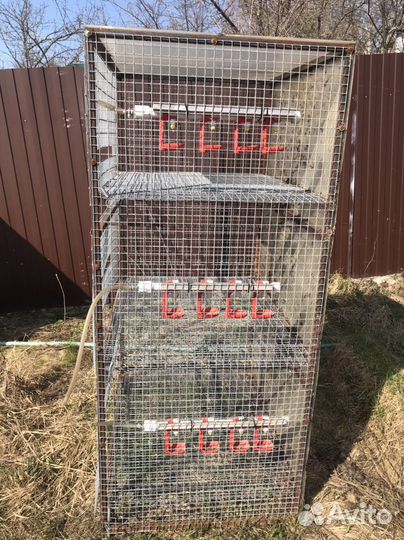 Клетка для кур