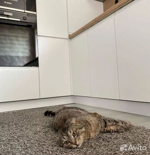 Кухня Собственное производство