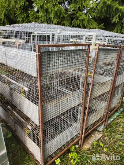 Клетки для кур несушек и бройлеров, брудеры