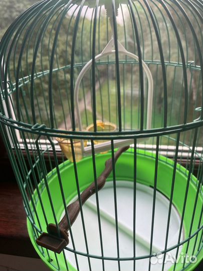 Клетка для птиц