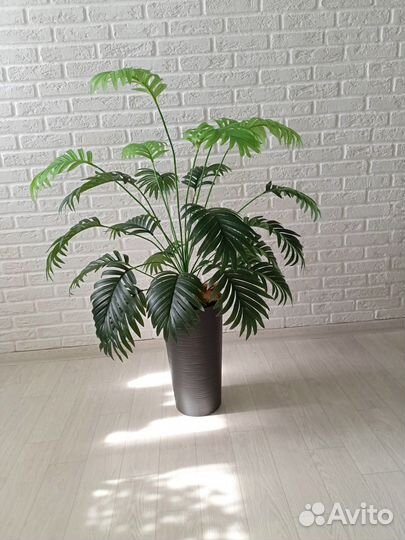 Искусственные цветы/Пальма/Стрелиция