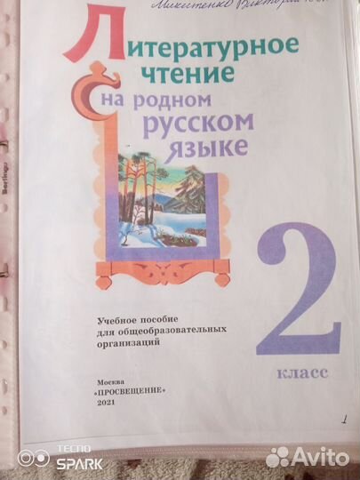 Русский родной язык