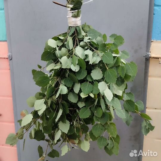 Веники для бани