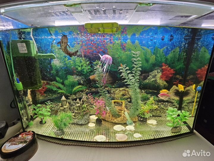 Аквариум с рыбками большой